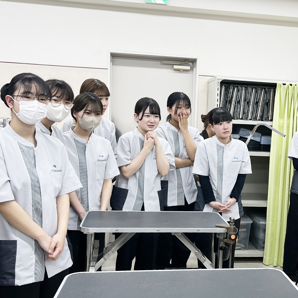 先輩のトリミングを見学☆